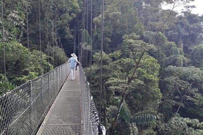Hanging bridges