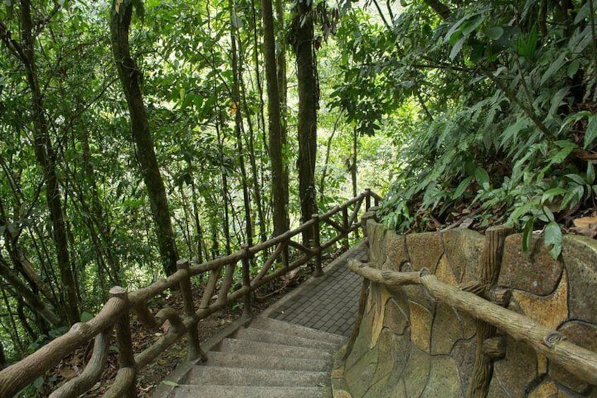 Private Hanging Bridges / Waterfall / Volcano Hike Combo