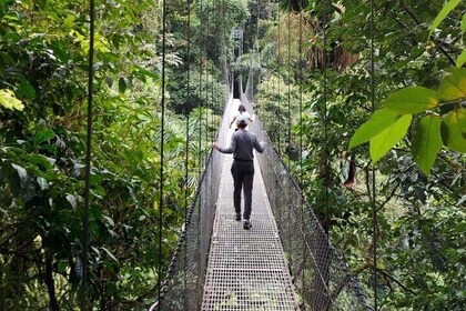 Private Hanging Bridges + Waterfall Tour + Costarrican Lunch