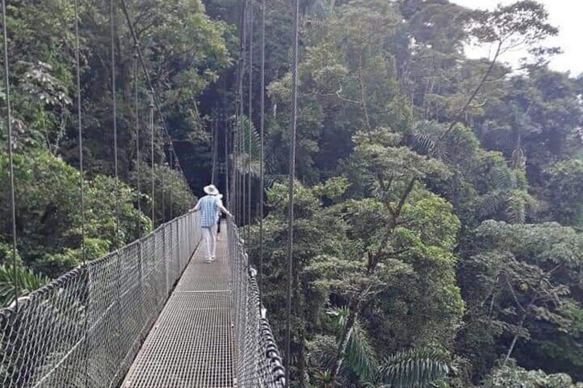 Private Hanging Bridges + Waterfall Tour + Lunch