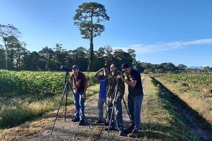 Private Arenal Birdwatching Experience