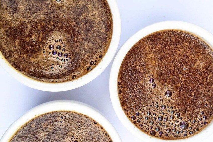 Best Coffee brewing workshop in AVOEDEN cafe