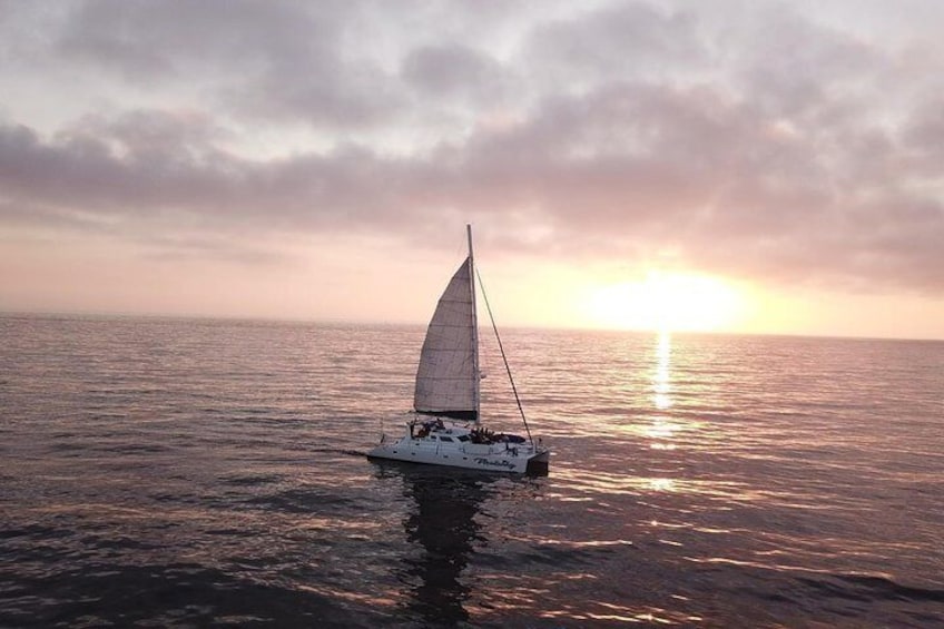 Luxury Catamaran Sailing Charter of San Diego