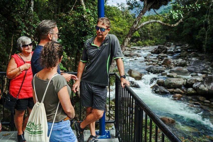 Viewing platform at Mossman Gorge