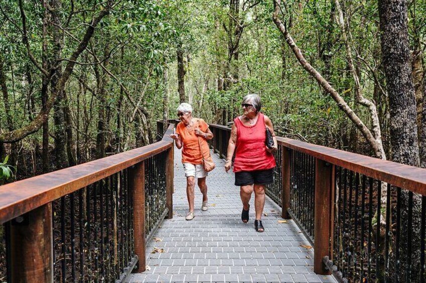 Easy accessible boardwalks in the Daintree