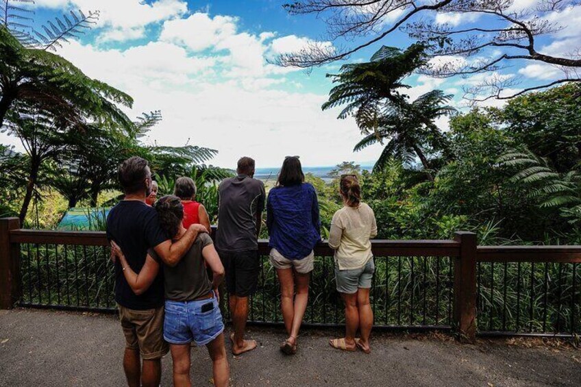 Take in the views at the Alexandra Lookout