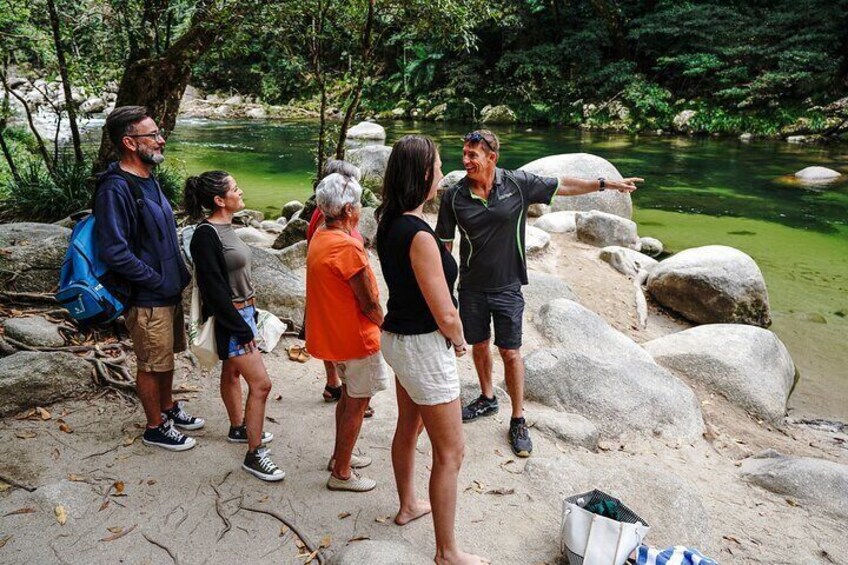 Your guide will tel you where it is safe to swim at Mossman Gorge