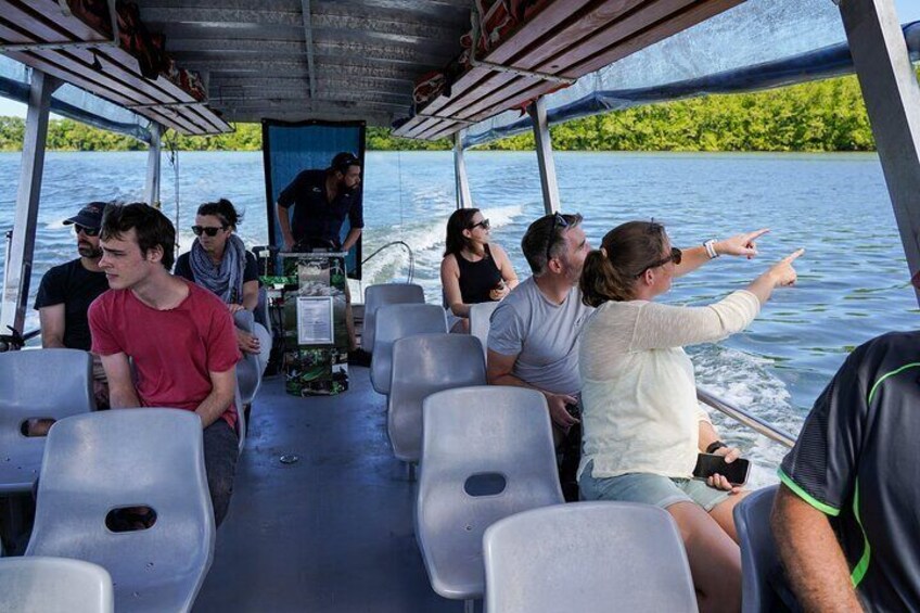 Spotting wildlife along the Daintree River