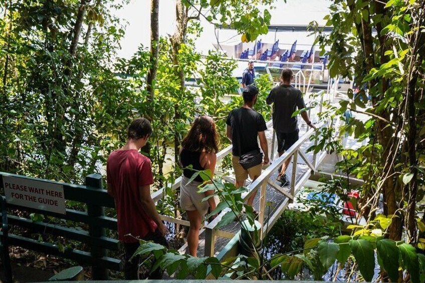 Access to the Daintree River Cruise