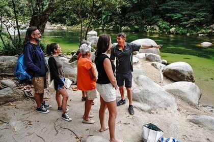 Afternoon Tour Mossman Gorge & Daintree River from Port Douglas