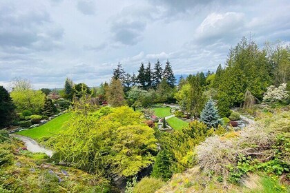 温哥华难忘的 2 小时