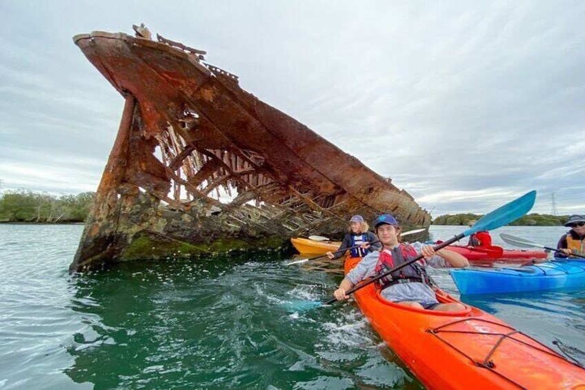 Adelaide Dolphin Sanctuary and Ships Graveyard Kayak Tour