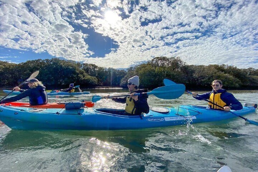 Adelaide Dolphin Sanctuary and Ships Graveyard Kayak Tour