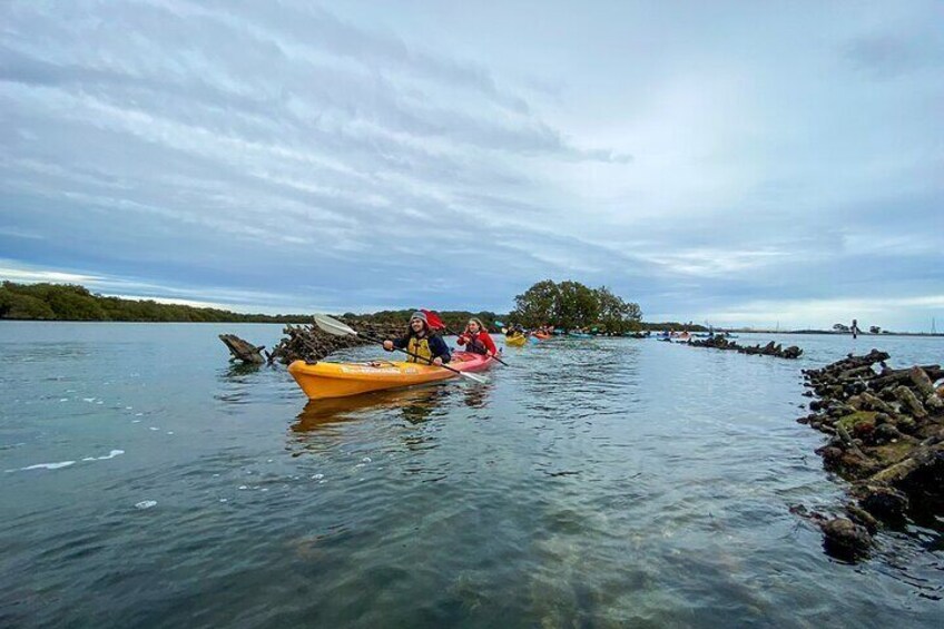 Adelaide Dolphin Sanctuary and Ships Graveyard Kayak Tour