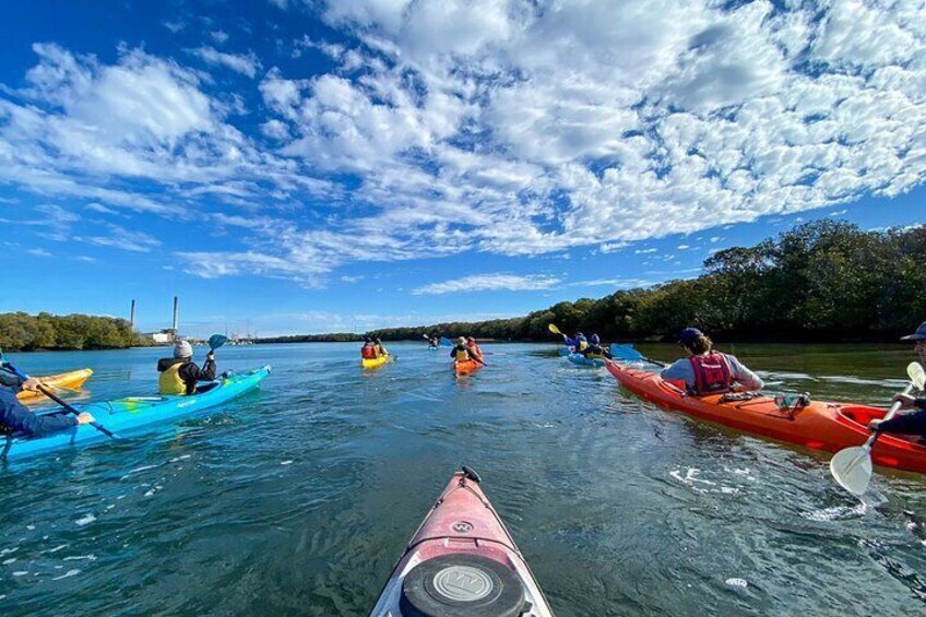 Adelaide Dolphin Sanctuary and Ships Graveyard Kayak Tour