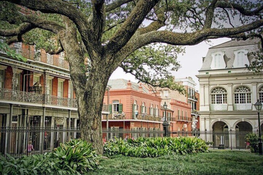 Private New Orleans City Tour