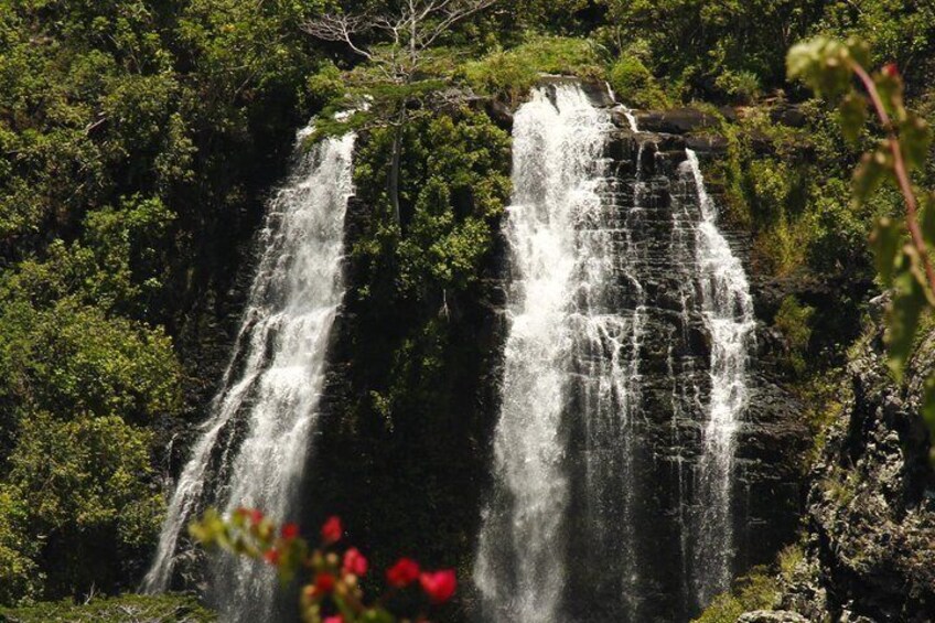 Kauai's South and East - Sightseeing Tour - 6 hrs.