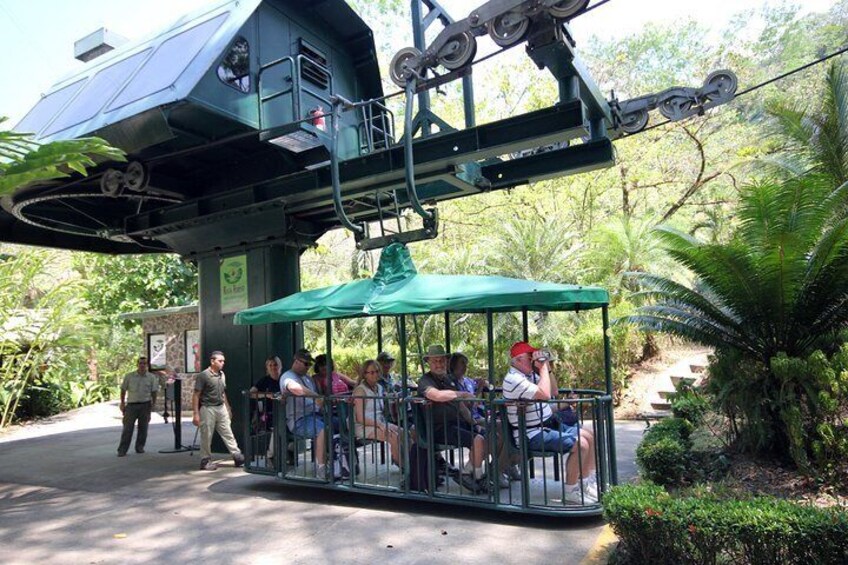 Rainforest Aerial Tram