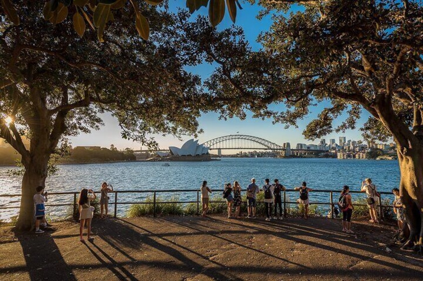 Sydney Harbour Photo Tour