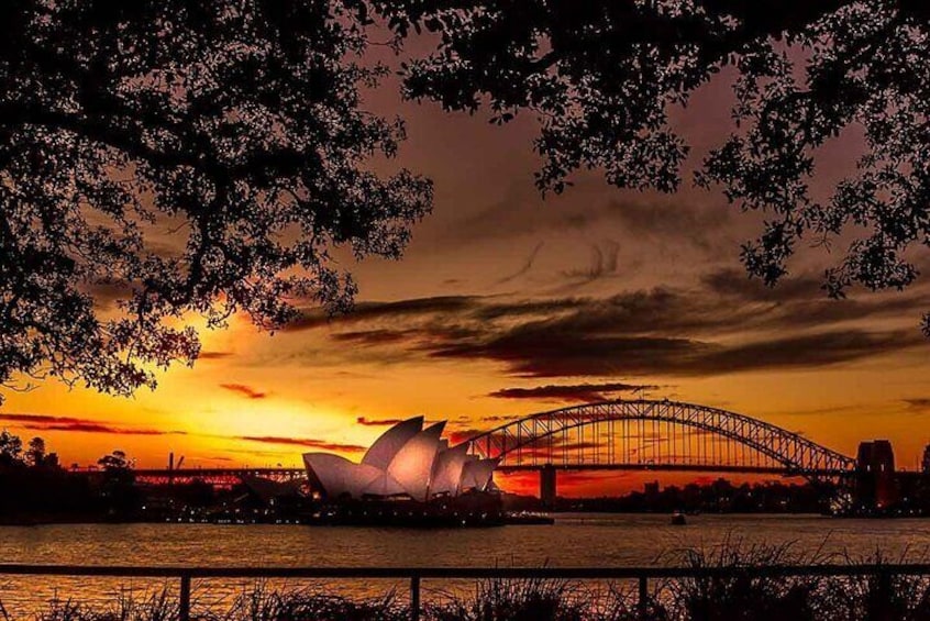 Brilliant Sunset Sydney Hotspots Night Tour with Photographer