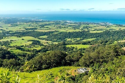Sea Cliff Bridge, Kiama Blowhole, Beaches & Wildlife Small Group
