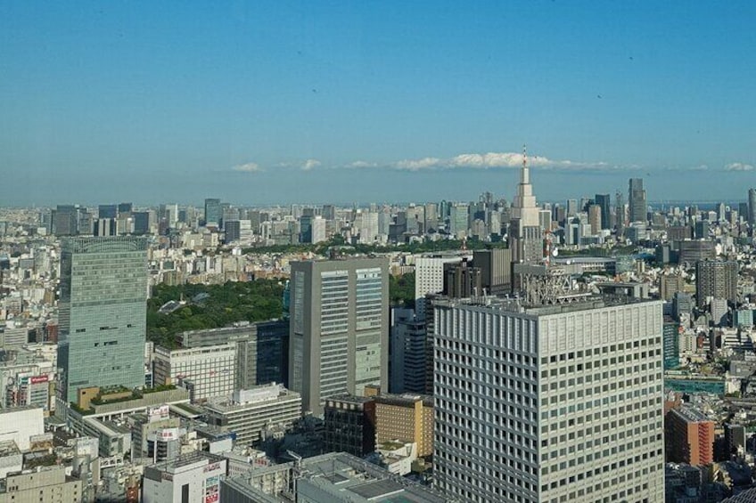 Licensed Guide Shinjuku Underground Mall Tour (Tokyo)