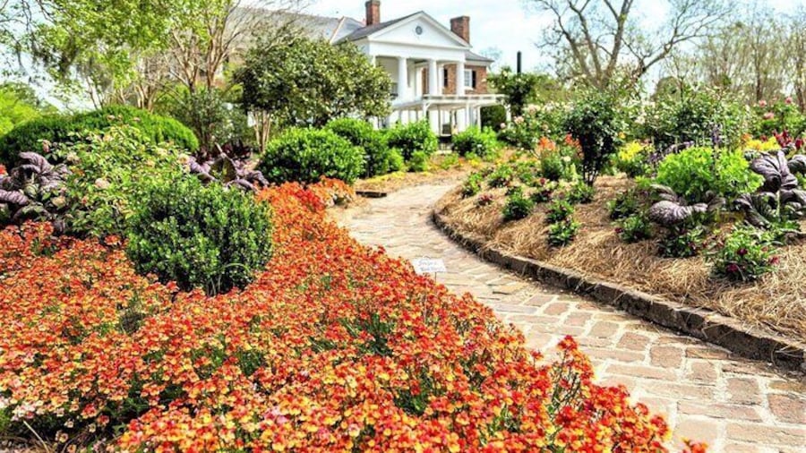 Boone Hall Plantation All-Access Admission Ticket