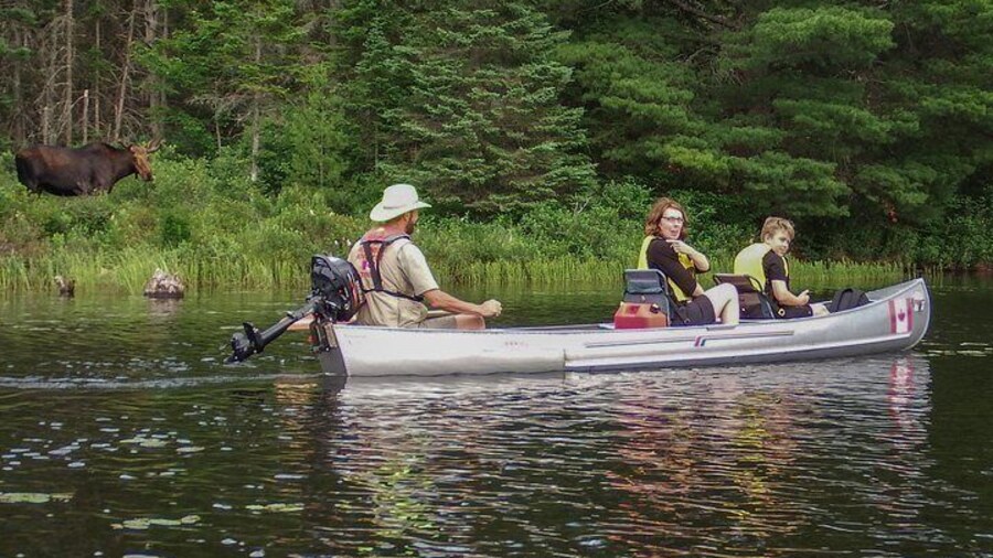 3 Hour VIP Electric Canoe Photography Tour