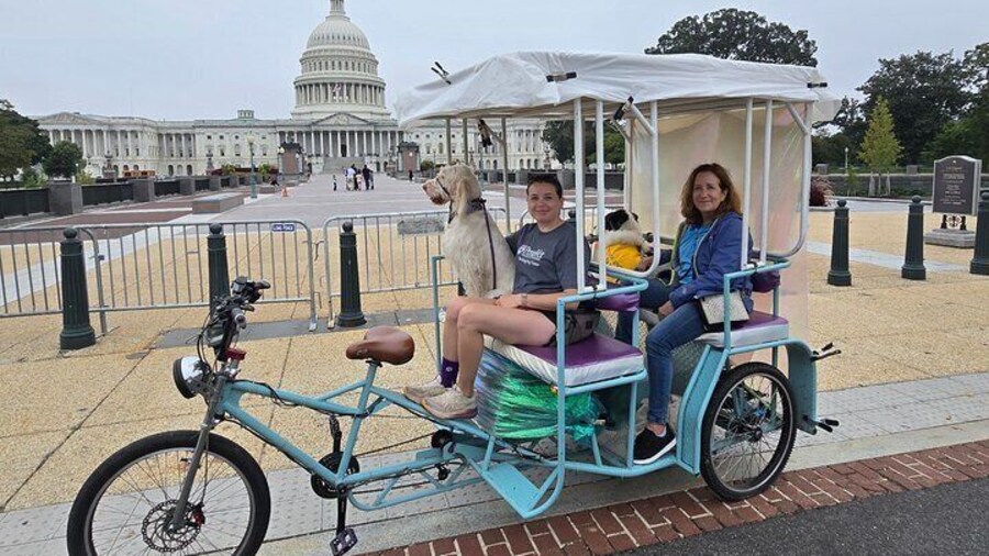 Our Coach Tricycle Pedicab is good for adults, kids and pets!