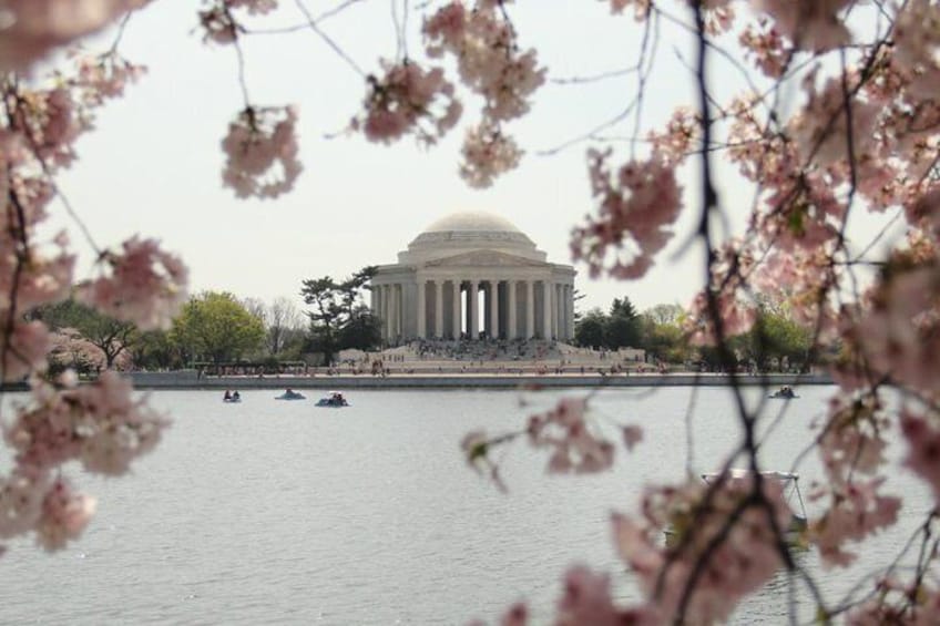 See all the monuments, memorials, the White House, the Capitol, the presidential parade route, and a summary of the museums. 