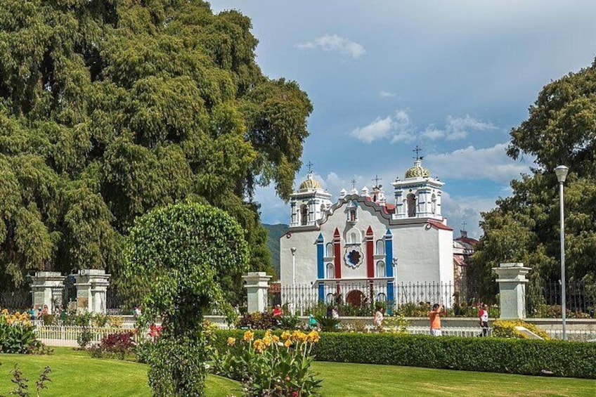Private Family Tour including Mitla, Mezcal Factory and Natural Colored Rugs