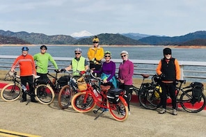 Pedego E-bike Self Guided Tour