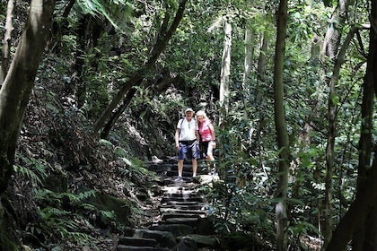 ブルーマウンテンズプライベートツアー