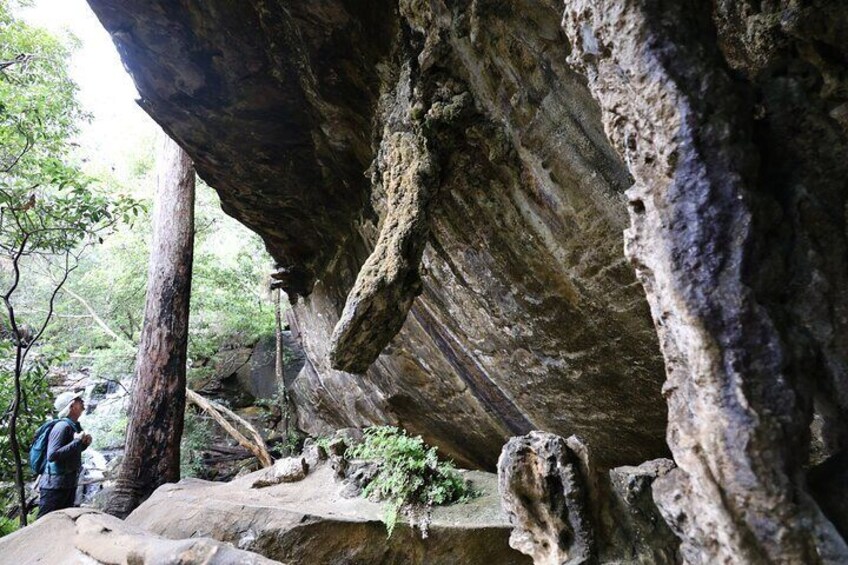 Royal National Park Tour