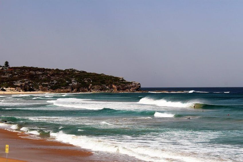 seriously good surf at Curl Curl Beach