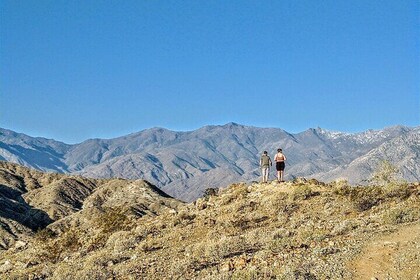 Palm Springs Oasis Hike with Amazing Desert Views 