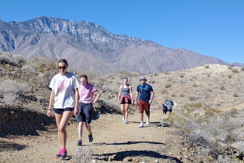 Palm Springs Hike to an Oasis and Amazing Desert Views