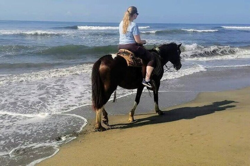 ⭐✔ PRIVATE Gentle Paradise Lonely Beach Horseback Ride & Afro-Mexican Village