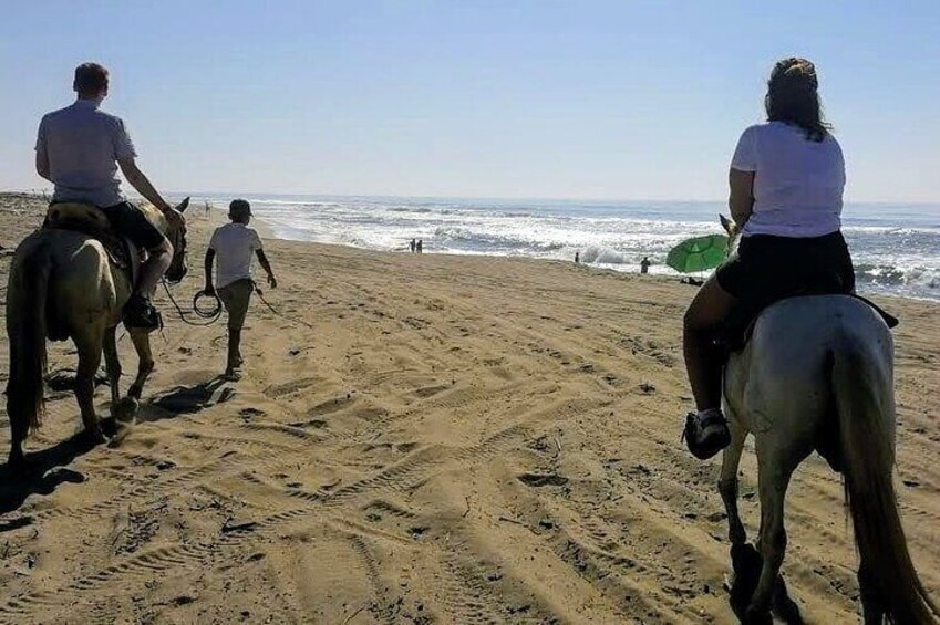 ⭐✔ PRIVATE Gentle Paradise Lonely Beach Horseback Ride & Afro-Mexican Village