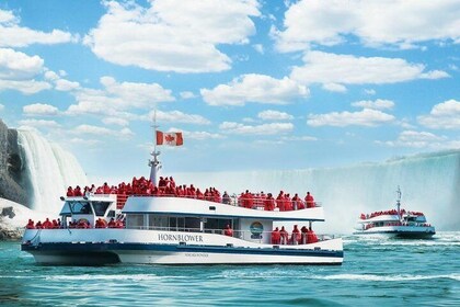 Dagstur fra Toronto til Niagara Falls med bådtur og frokost