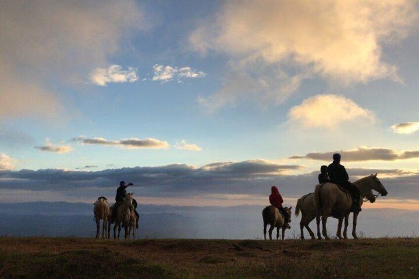 Monteverde Cloud Forest Horseback Riding