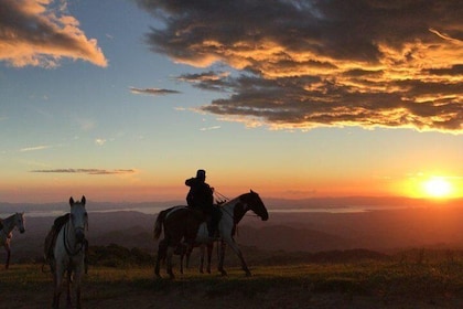 Équitation dans la forêt de nuages de Monteverde