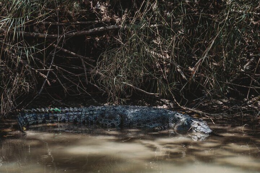 Kakadu Full-Day Tour from Darwin with Lunch