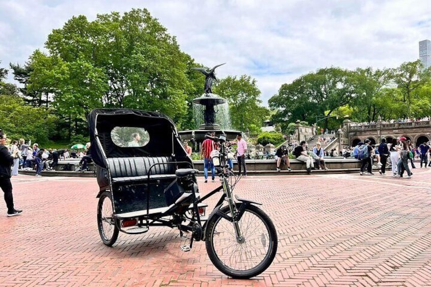 The Best Central Park Pedicab Guided Tour