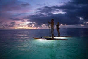 Twilight GLOW Paddle: Paddleboard Above a Halo of Light