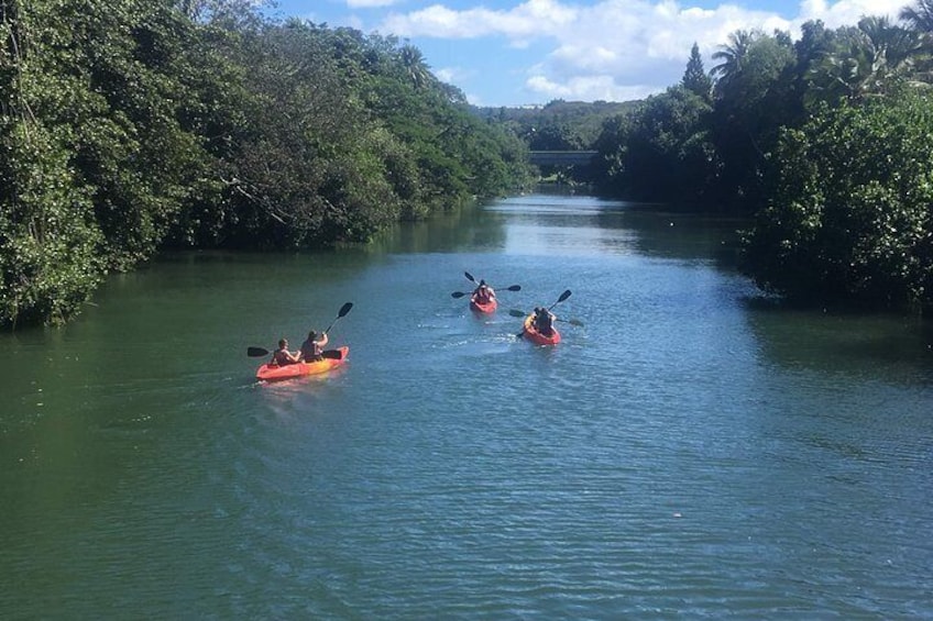 Paddle up the calm and lush river