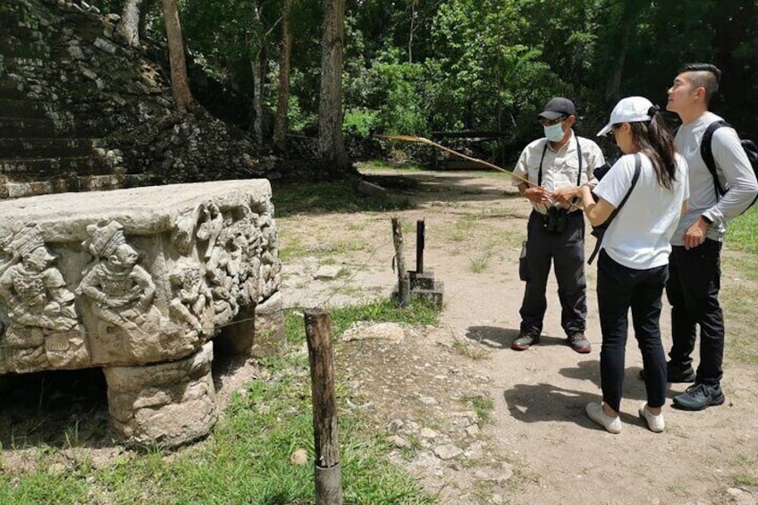 The Maya Route: Copan Ruins & Macaw Mountain Bird Park, from San Salvador.