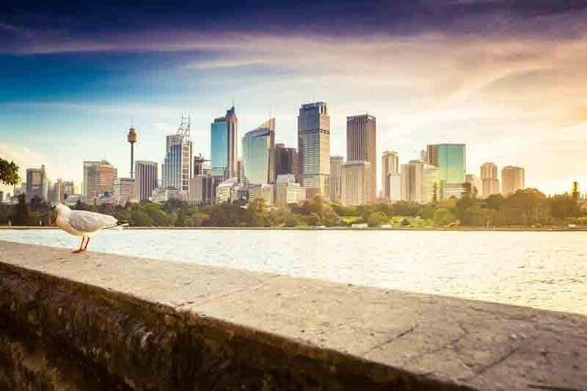 Sydney_city_panorama