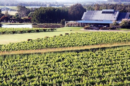 Private Hunter Valley Day Trip from Sydney - Wine, Chocolate and Cheese Tas...