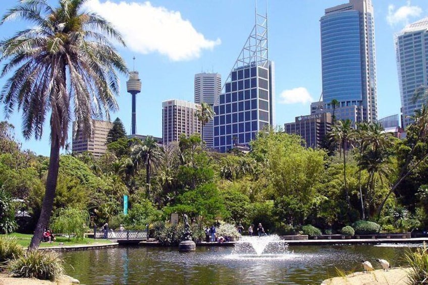 Sydney Botanical Gardens